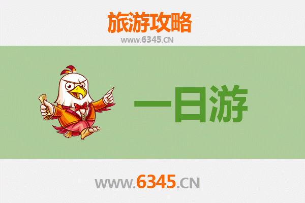 西双版纳勐海自驾一日游攻略：雨林茶香与傣族风情之旅