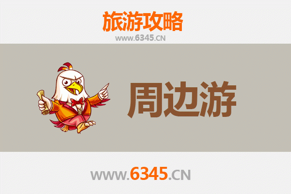 西双版纳勐海周边游攻略：探秘雨林秘境与傣族文化