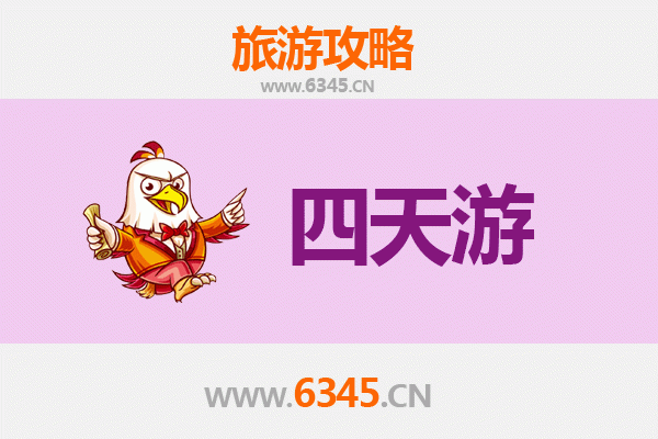 西双版纳勐海四天三夜深度游攻略：雨林探秘与傣族文化体验