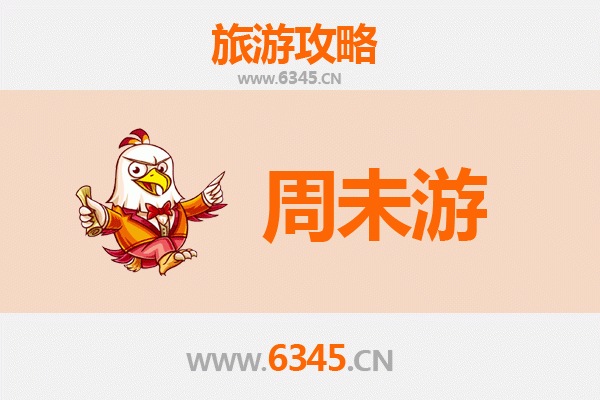 西双版纳勐海周末游攻略：雨林秘境与茶文化之旅