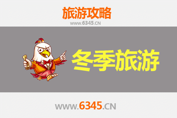 西双版纳勐海冬季旅游攻略：温暖避寒的秘境之旅